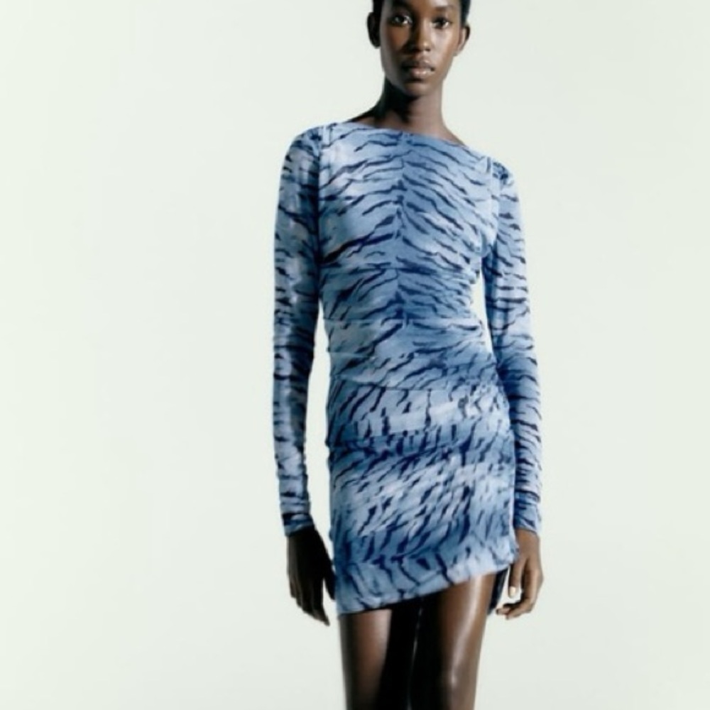Zara blue mesh zebra dress